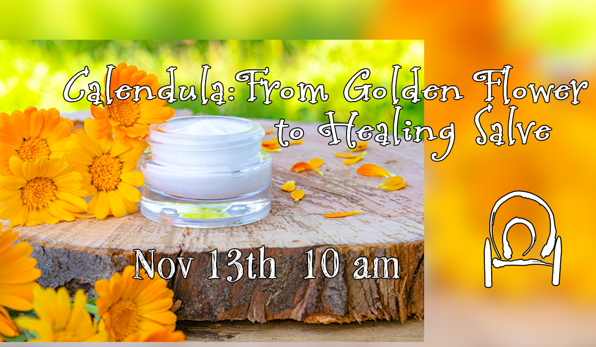 Calendula: From Golden Flower to Healing Salve