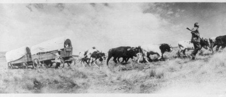 Donner Reed Party Facts