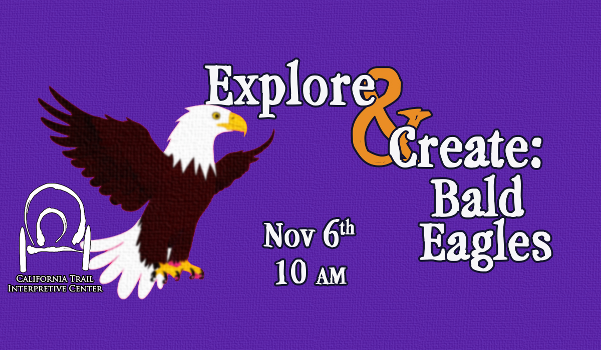 Explore & Create: Bald Eagles