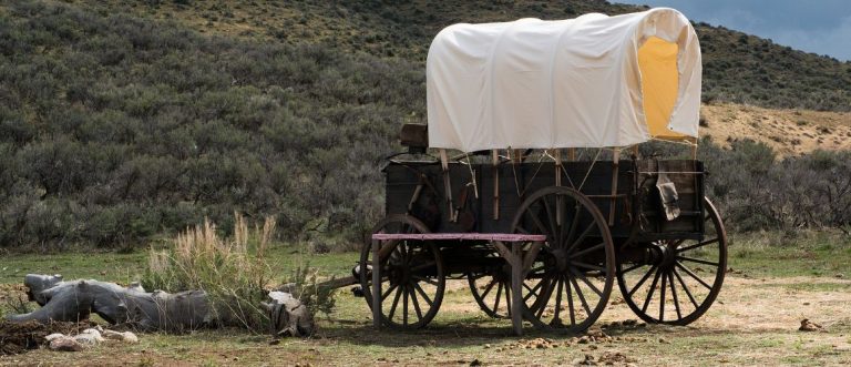 How Would You Fare On The California Trail?