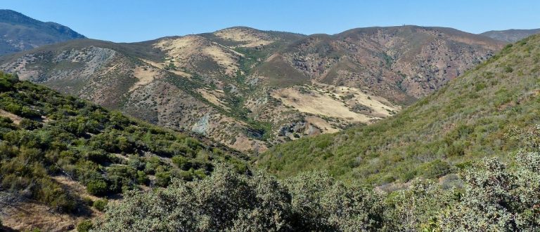 The Nome Cult Trail