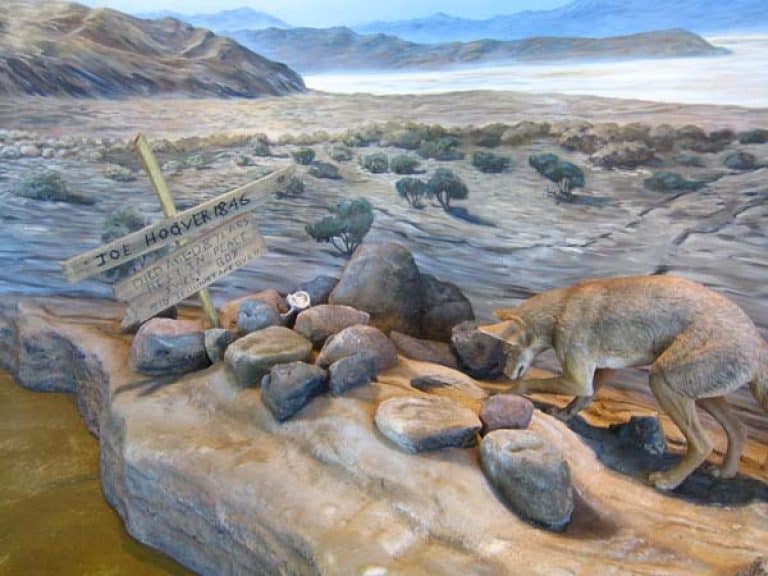 California Trail Exhibit