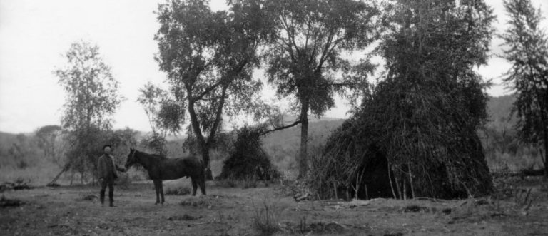 What Is A Wickiup